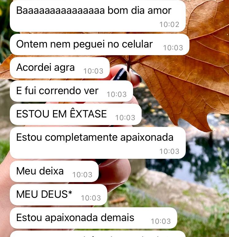 Imagem do WhatsApp de 2025-03-26 à(s) 11.47.10_2bad598c